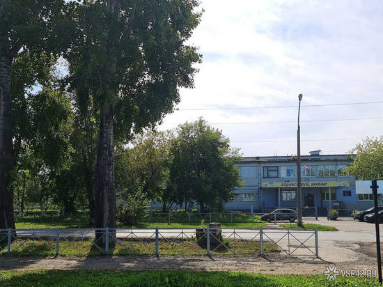 Кемеровчанин пожаловался на опасные тополя возле школы