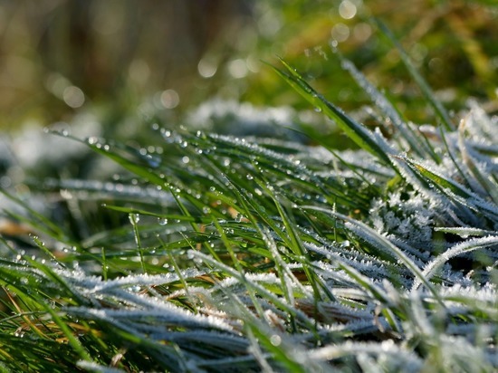 Заморозки до -3 градусов сохранятся ночью 20 августа в Забайкалье