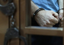 Приговор по делу о смертельном ДТП, который может стать своего рода иллюстрацией  для актера Михаила Ефремова, был вынесен 19 августа в Коптевском суде столицы