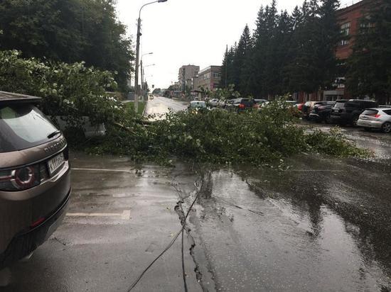 Огромный тополь под Новосибирском рухнул на автомобиль и оборвал провода