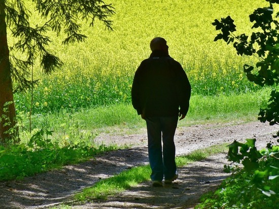 Спасатели нашли потерявшегося в лесу 76-летнего забайкальца