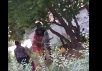 На первом видео видно, как женщина наносит удары несовершеннолетней девочке