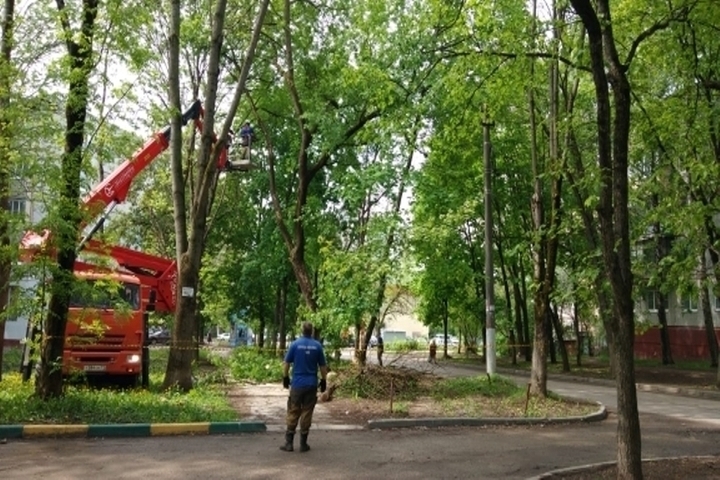 Косая гора фото на документы