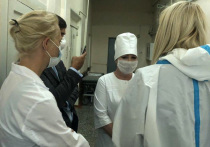 Супруга оппозиционера Алексея Навального Юлия прилетела в Омск, чтобы навестить супруга в больнице, куда он был госпитализирован без сознания