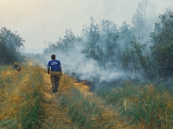 Из-за лесных пожаров 14 сел Якутии может окутать дым