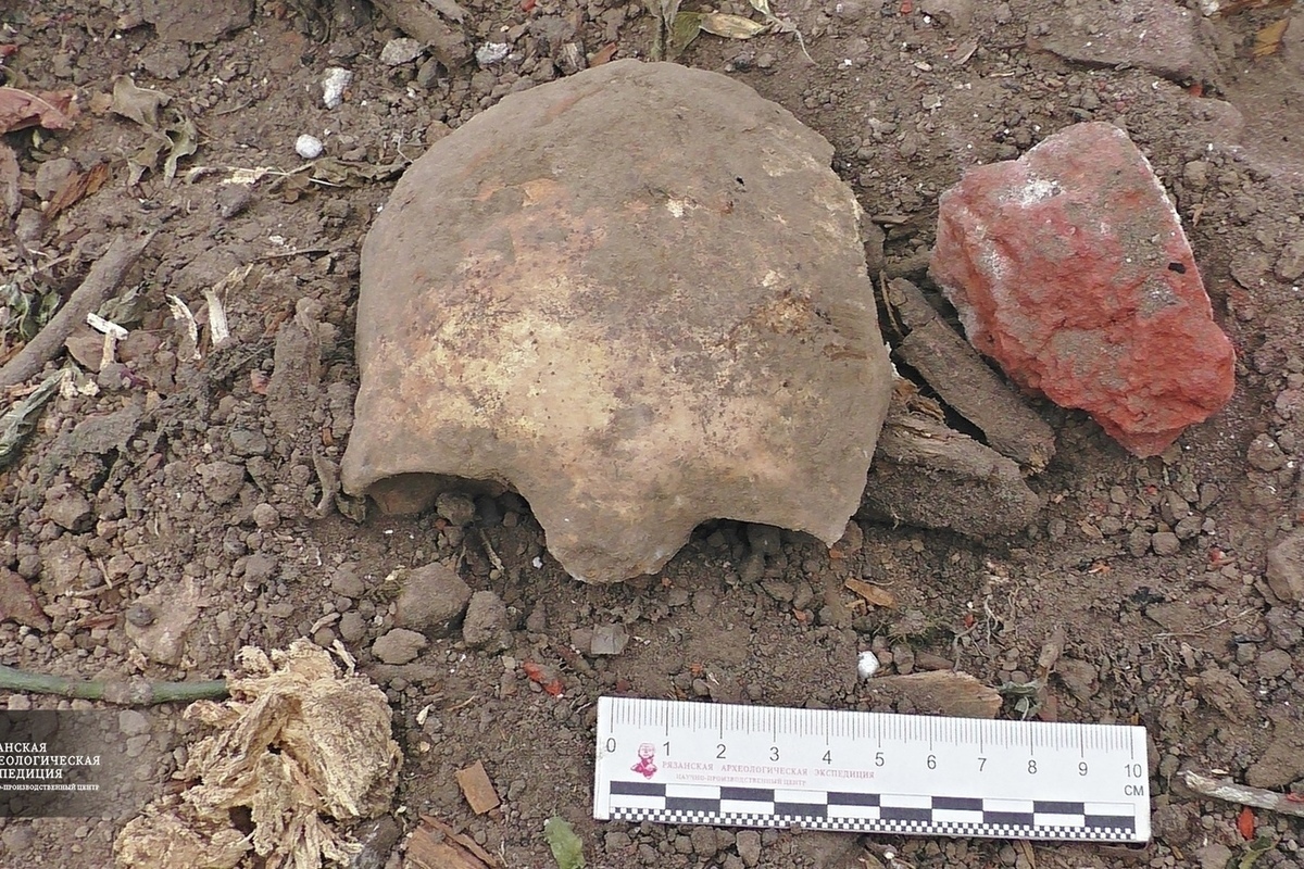 Рязанская археологическая Экспедиция 1994 год