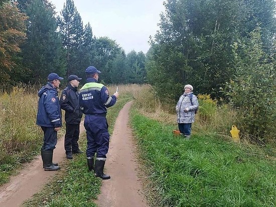 Заблудившуюся жительницу Воткинска спасли сотрудники ПСС