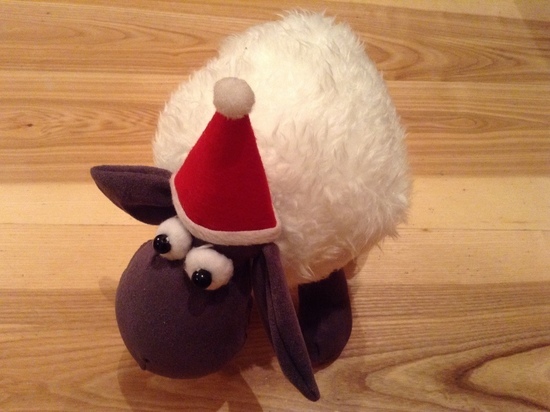 В Смоленске хозяин дома спугнул очень нетрезвого грабителя