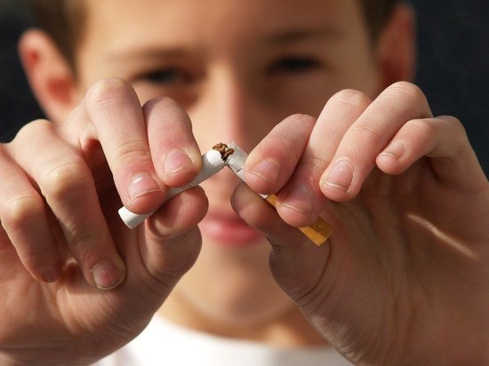  Предпринимателя в Карелии оштрафовали за продажу сигарет около образовательной организации