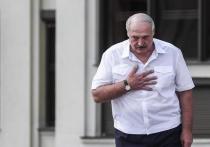 Власти Европейского союза не признают легитимность президента Белоруссии Александра Лукашенко, однако Брюссель продолжит вести диалог с Минском