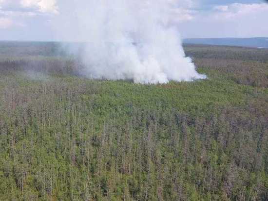 В Якутии за сутки возникло 6 лесных пожаров и 9 потушено