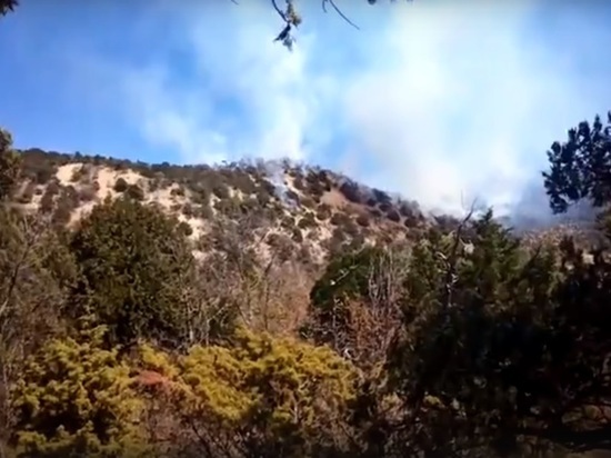 Пожарные спасают от огня заповедный лес на Малом Утрише