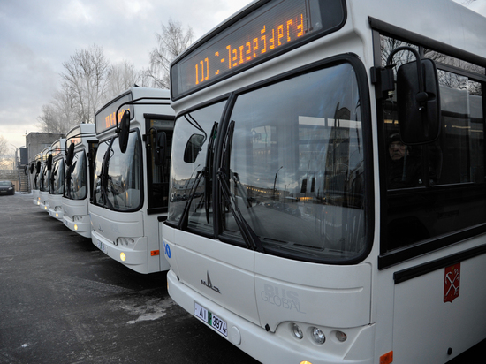 Смольный решил добавить на городские маршруты 15 автобусов