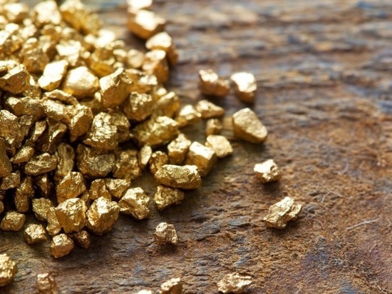 Проект золотодобычи в Батуринском рудопроявлении позволит вернуть Томскую область в число золотодобывающих регионов