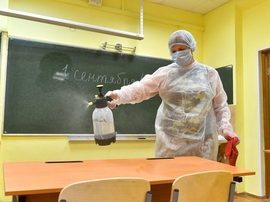 Власти Москвы оставили на усмотрение родителей дистанционное обучение детей