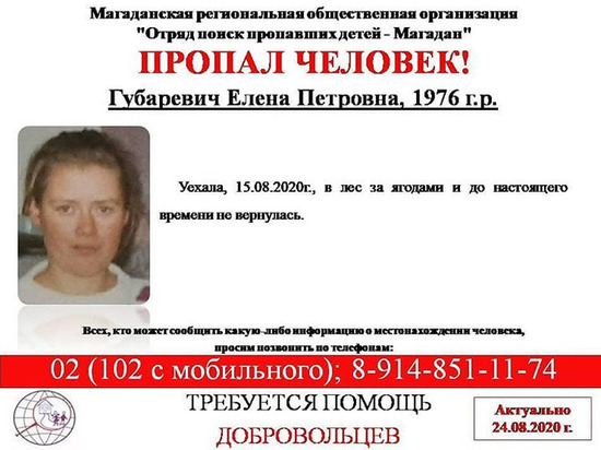 Волонтёры Колымы 10 дней ищут женщину: она ушла за ягодой
