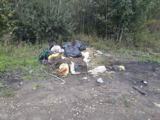 «Спонтанные свалки»: новосибирцы пожаловались на кучи мусора на кладбище