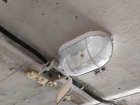 В Ижевске хулиганы разбили лампы в подземном переходе около УдГУ