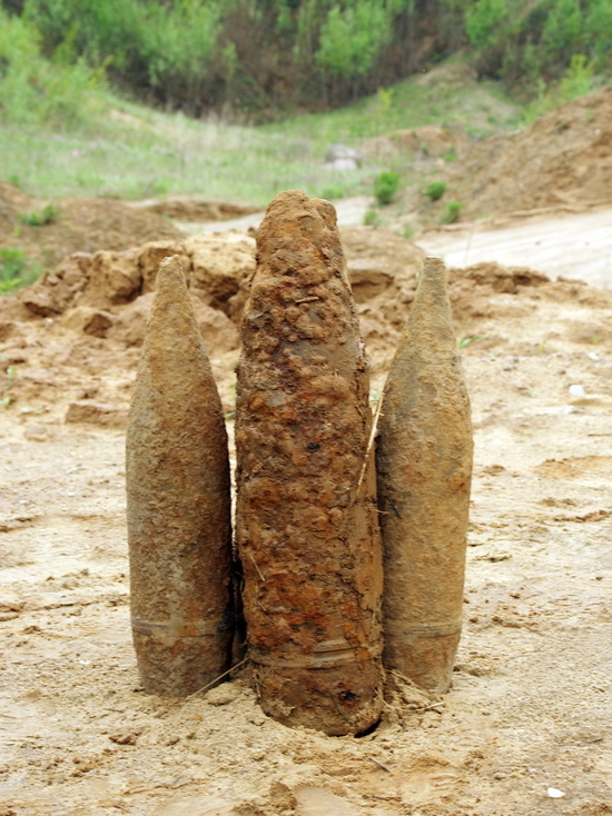 В Смоленской деревне Петушки найдены мина и снаряд времен Второй Мировой