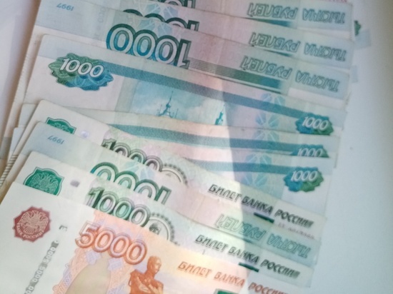 Бухгалтер в Дзержинске украла более 60 тыс рублей из бюджета
