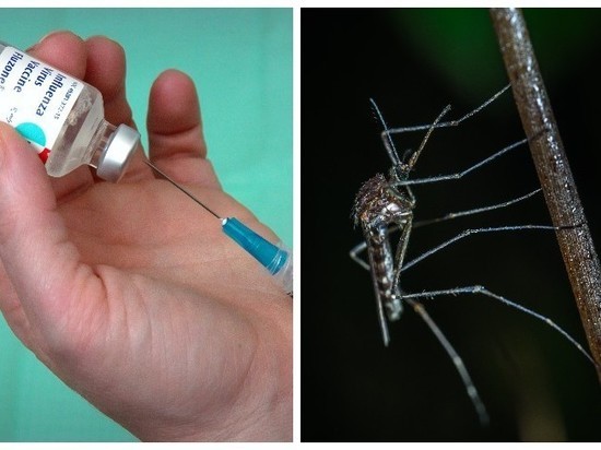 Спрей от комаров может использоваться в борьбе с коронавирусом