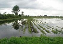 Из-за дождей в ближайшее двое суток возможно подтопление огородов у поселка Кокуя в Сретенском районе Забайкалья