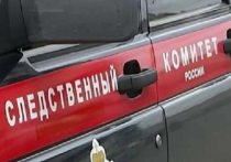 Появились подробности гибели подростка в выгребной яме под Ростовом