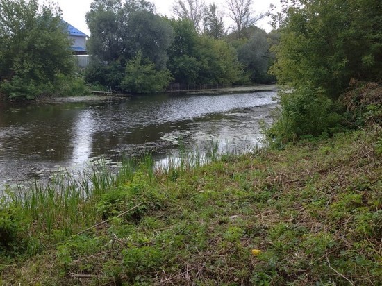 Росприроднадзор не подтвердил информацию о загрязнении реки Тускарь в Курской области