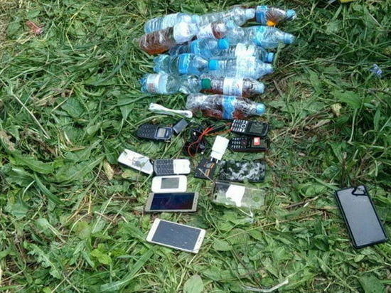 Спирт и смартфоны пытались пронести в колонию в Лукоянове