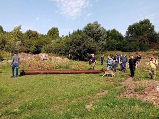 В Татарстане ищут пропавшего 5 дней назад скотника