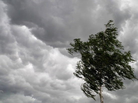 В Калмыкии местами ожидаются дождь с грозой и усилением ветра
