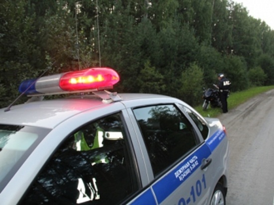 Свердловские полицейские нашли заблудившуюся любительницу грибов