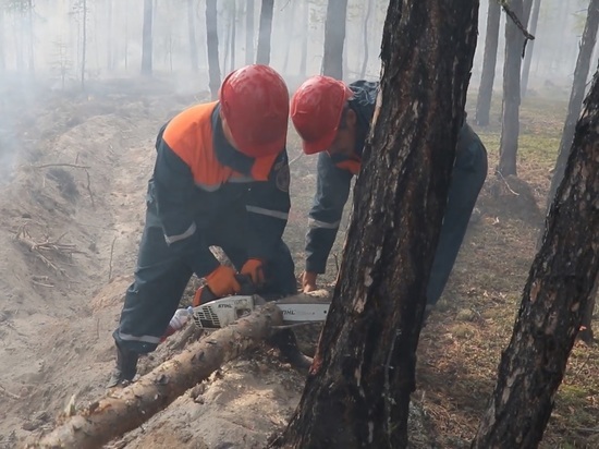 Природные пожары около Якутска локализованы