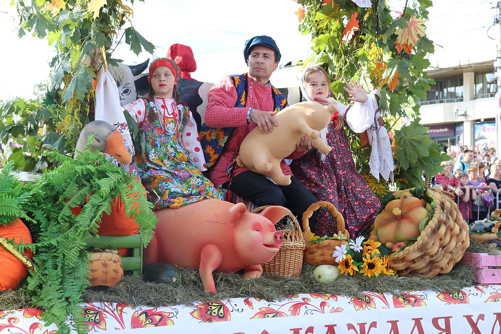 Самые яркие кадры карнавала в Калуге
