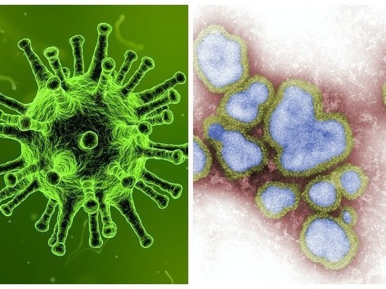 Россиянам перечислили яркие различия коронавируса и гриппа