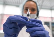 Министерство просвещения исключило принудительную вакцинацию школьных учителей от коронавируса