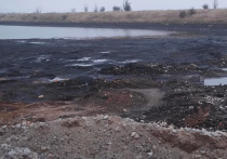 Донбассу и Украине грозит серьезная опасность из-за угрозы подтопления шахтными водами, заявил Strana