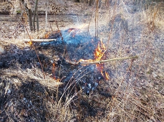 СМИ: из-за пожара в Тульской области снизилась видимость на М-4 &#34;Дон&#34;