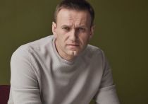 Случившееся с оппозиционным политиком Алексеем Навальный приведет к консолидации оппозиции вокруг его фигуры, но в стратегическом плане последствия для нее будут негативными, заявил журналу «Эксперт» политолог, директор по исследованиям Фонда ИСЭПИ Александр Пожалов