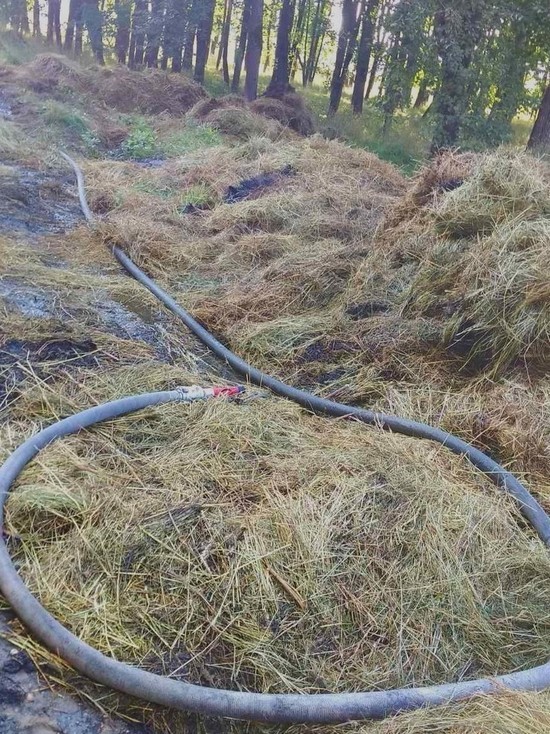 В Рославльском районе сгорело четыре тонны сена