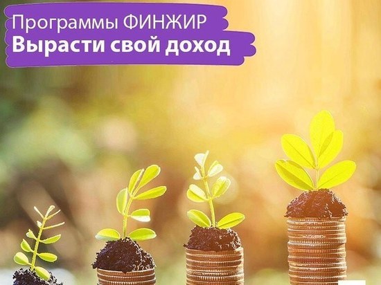 Что выгоднее в Казани: инвестиции на валютном рынке или кредитный потребительский кооператив