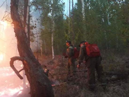 Добровольцы и власти Забайкалья договорились о работе с пожарами