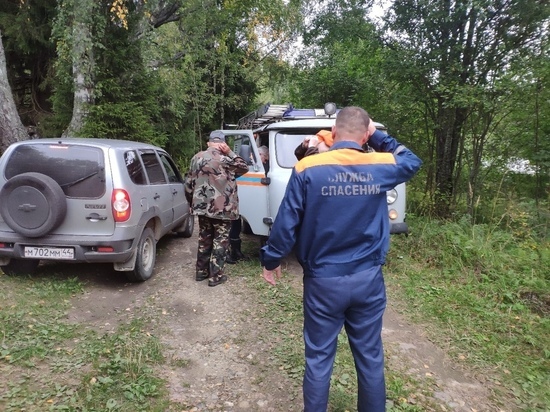 Костромские спасатели оперативно разыскали потерявшего в лесу грибника-диабетика