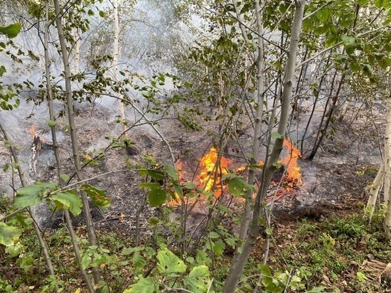 Лесные пожары в Таттинском районе ликвидируют в течение суток
