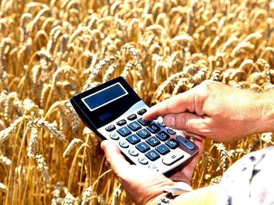 Зарплата в сельском хозяйстве Чувашии выросла на 17,3%