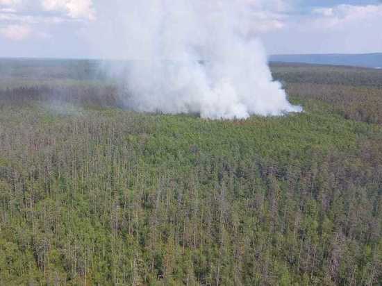 В Якутии тушат 12 природных пожаров