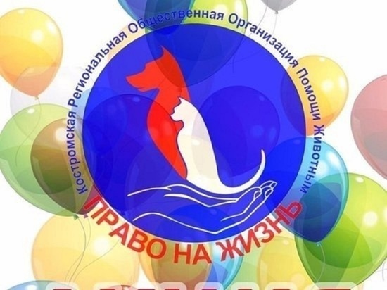 Костромской приют для бездомных животных срочно собирает 1,6 млн. рублей