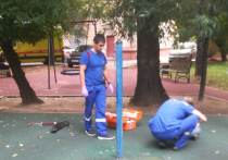 Семилетний мальчик получил 31 августа удар по голове слетевшей с крепления каруселью на детской  площадке на севере Москвы