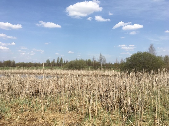 Погода в Смоленской области 2 сентября будет хорошей