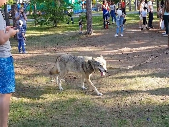 Зоопарк челябинск фото